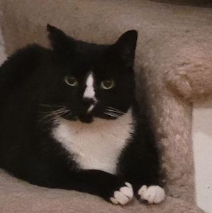 Meet your Posher, Cheryl